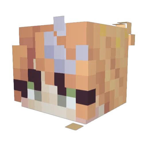 As1nin3 Minecraft avatar head, 3D render