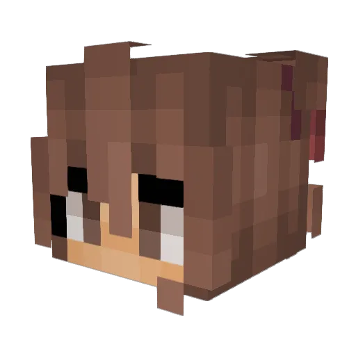 AsPi2010 Minecraft avatar head, 3D render