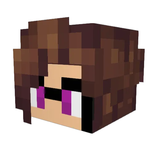 As_Ni Minecraft avatar head, 3D render