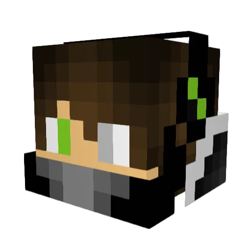Asa0204 Minecraft avatar head, 3D render