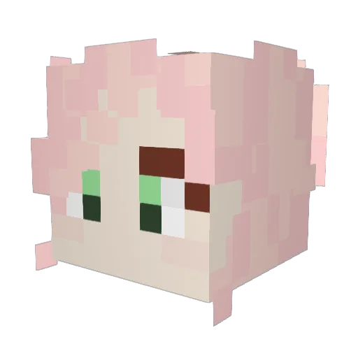Asa390 Minecraft avatar head, 3D render