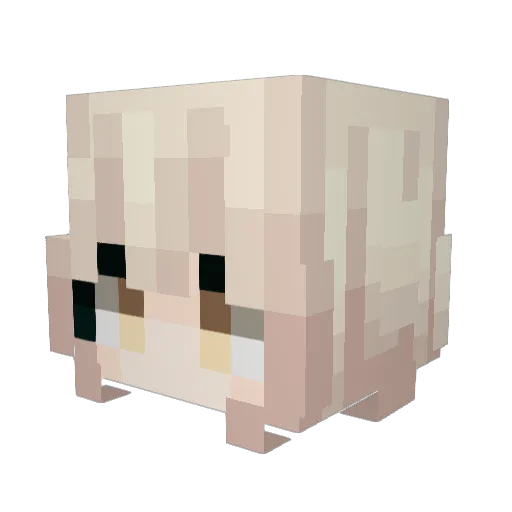 Asa399 Minecraft avatar head, 3D render
