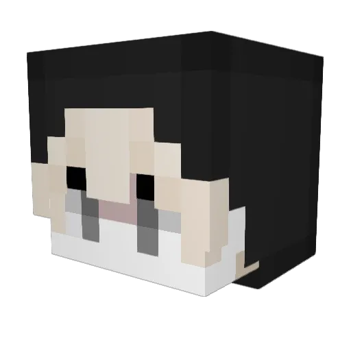 Asa43110 Minecraft avatar head, 3D render