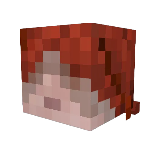 AsaUnknown Minecraft avatar head, 3D render