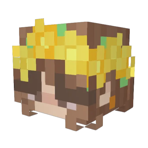 Asacti Minecraft avatar head, 3D render