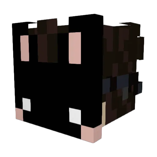 Asaelli Minecraft avatar head, 3D render