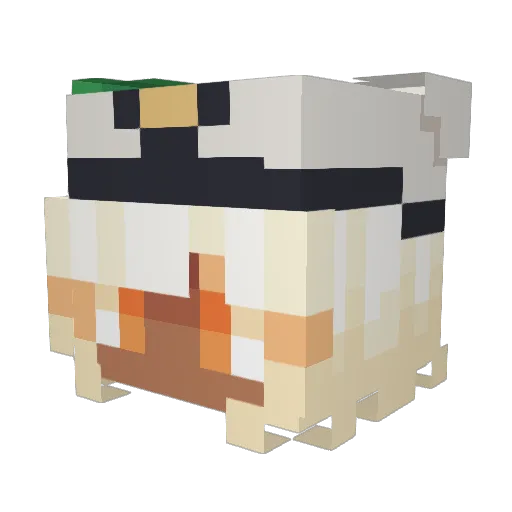 Asagii66 Minecraft avatar head, 3D render