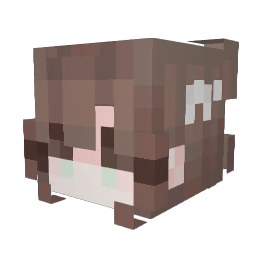 Asai_0_ Minecraft avatar head, 3D render