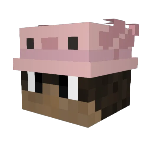 AsamaTheStar Minecraft avatar head, 3D render