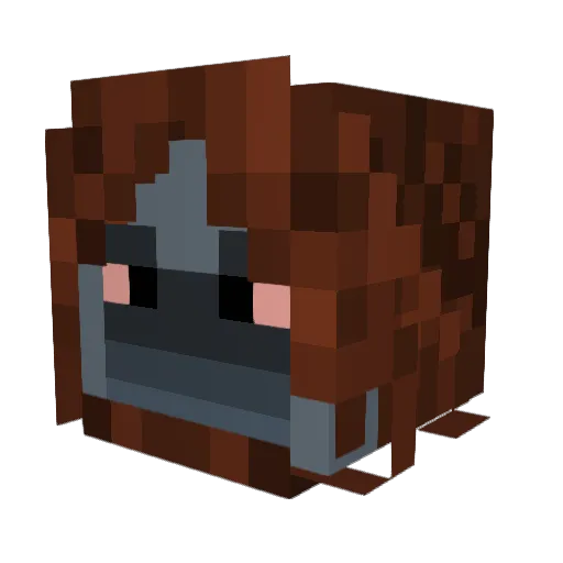 AsapDaniels Minecraft avatar head, 3D render
