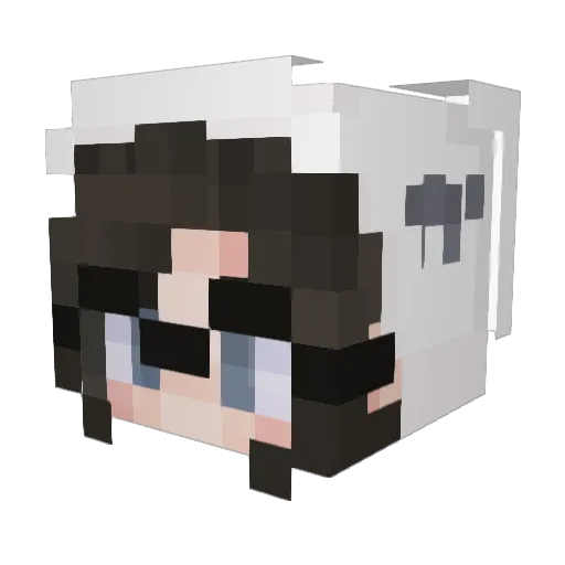 Asashix3 Minecraft avatar head, 3D render