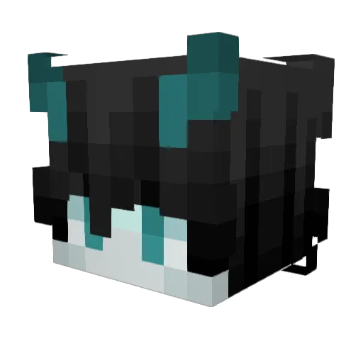 AsasynVX Minecraft avatar head, 3D render
