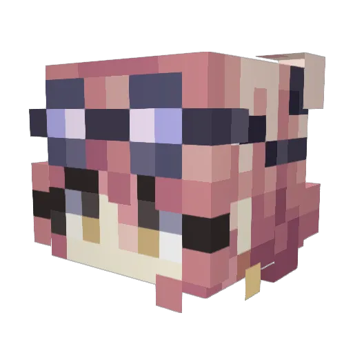 Asayu233 Minecraft avatar head, 3D render