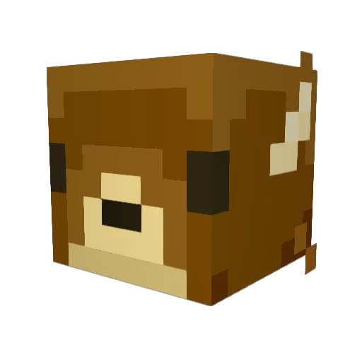Asazele Minecraft avatar head, 3D render