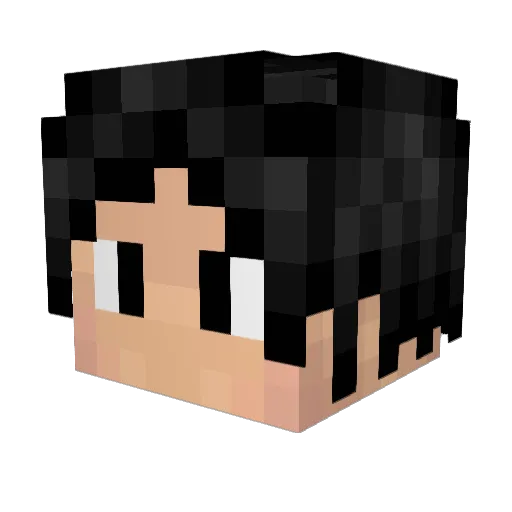 AsceOfHearts Minecraft avatar head, 3D render