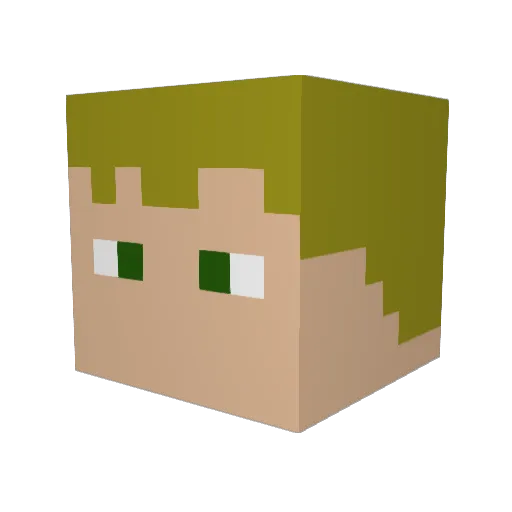 Ascended_Fashy Minecraft avatar head, 3D render