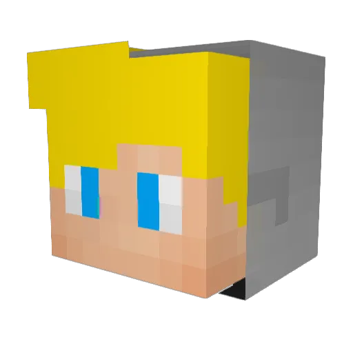 Ascens0 Minecraft avatar head, 3D render