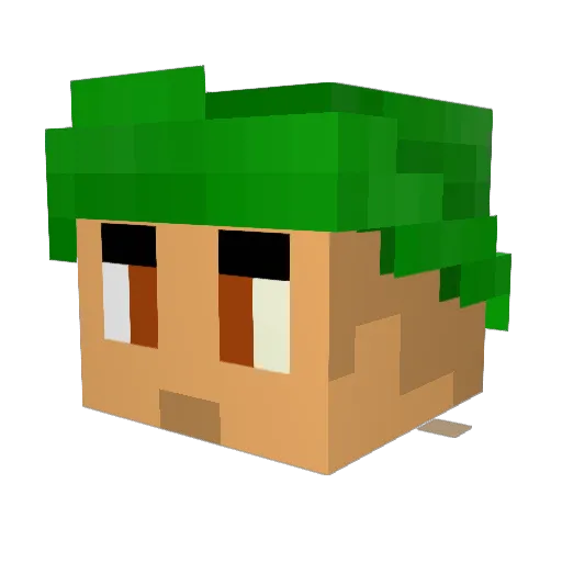 Ascentia_Fr Minecraft avatar head, 3D render