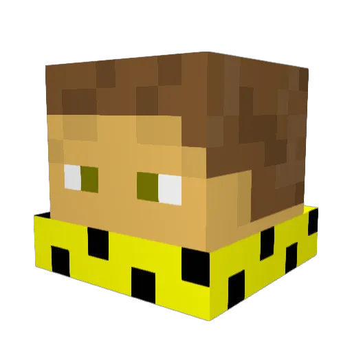Ascheriit81 Minecraft avatar head, 3D render