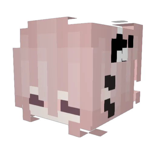 Aschetanninegh Minecraft avatar head, 3D render