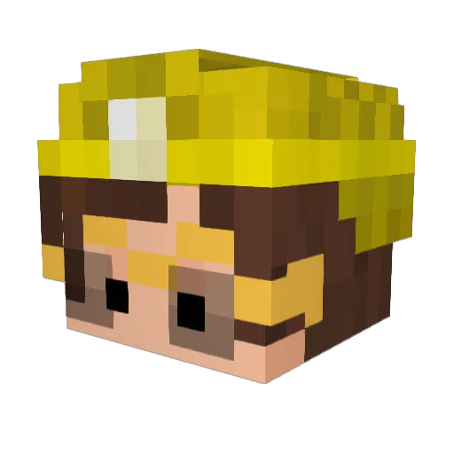 Aschu_ Minecraft avatar head, 3D render