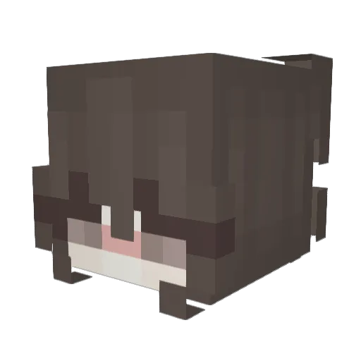Ascrumdiddlyum Minecraft avatar head, 3D render