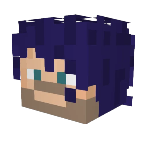 Asd501 Minecraft avatar head, 3D render
