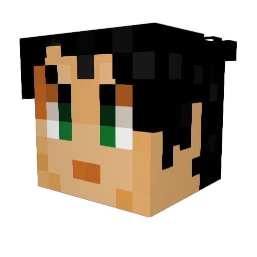 Asde_2 Minecraft avatar head, 3D render
