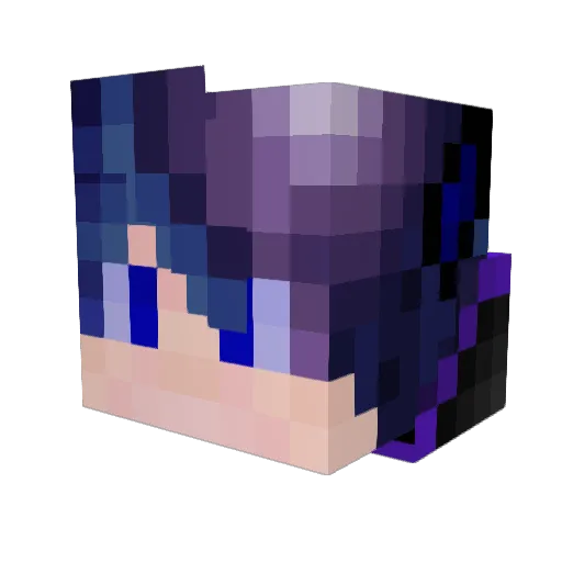 Asder003 Minecraft avatar head, 3D render