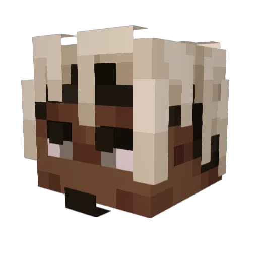 AsderBey Minecraft avatar head, 3D render