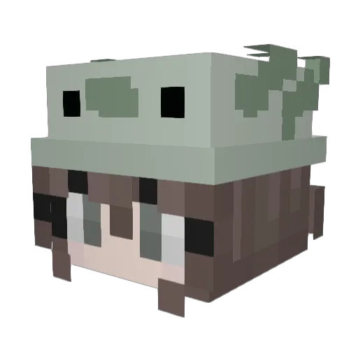 Asdoran Minecraft avatar head, 3D render