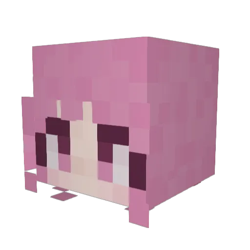 AsellaStulta Minecraft avatar head, 3D render
