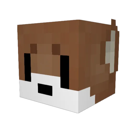 Asem0310 Minecraft avatar head, 3D render