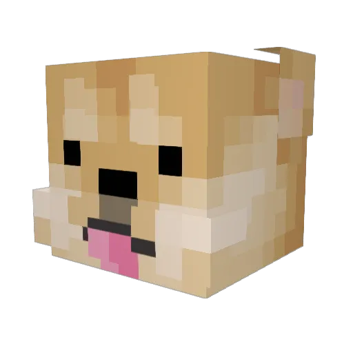 Aserni3 Minecraft avatar head, 3D render