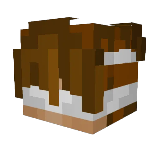 AsgerFriis2012 Minecraft avatar head, 3D render