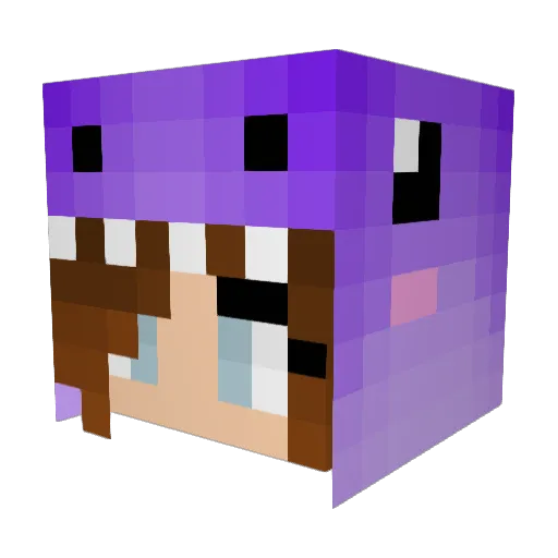Ash0513 Minecraft avatar head, 3D render