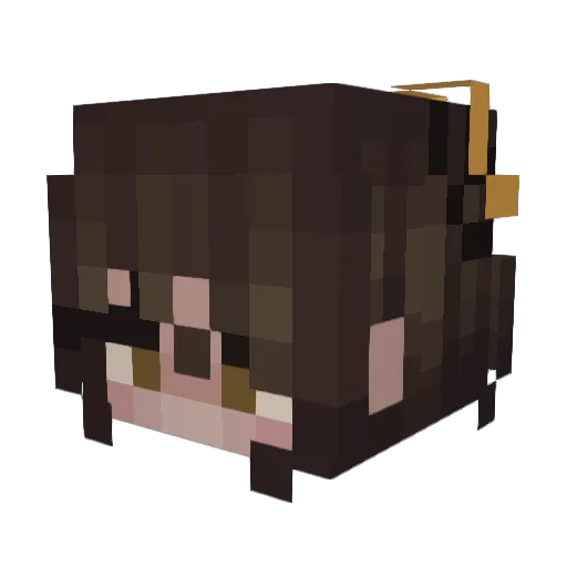 Ash1331 Minecraft avatar head, 3D render