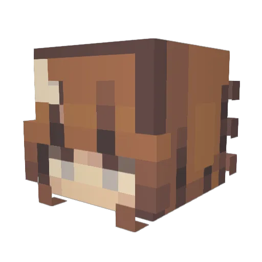 Ash190 Minecraft avatar head, 3D render