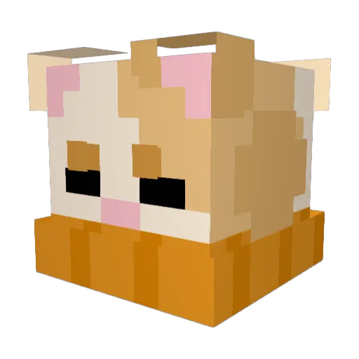Ash32204 Minecraft avatar head, 3D render