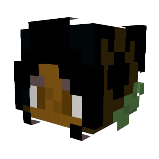 Ash3s1217 Minecraft avatar head, 3D render