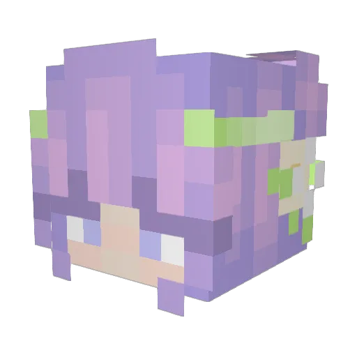Ash8510 Minecraft avatar head, 3D render