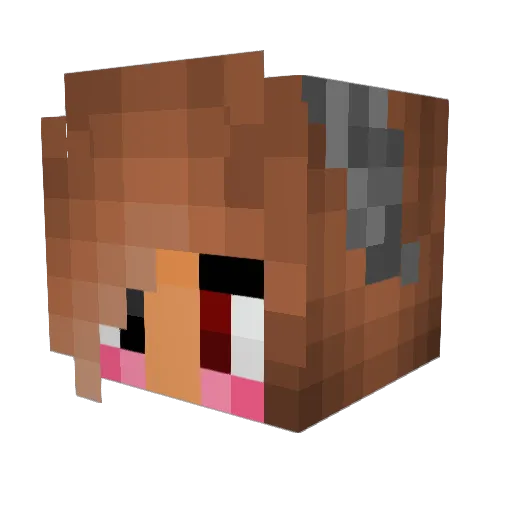AshBash385 Minecraft avatar head, 3D render