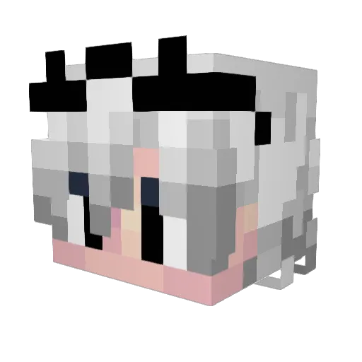 AshDeZo_ Minecraft avatar head, 3D render