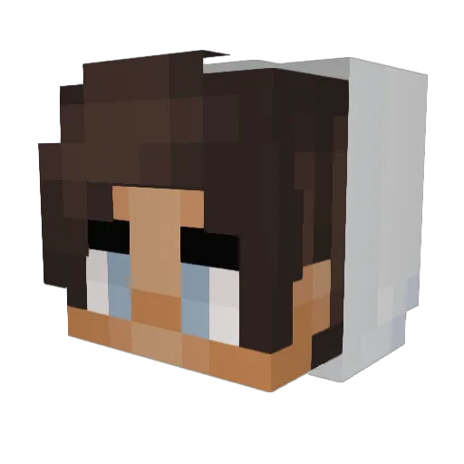 AshMinecrafter2 Minecraft avatar head, 3D render