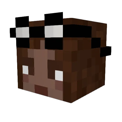 AshNicole Minecraft avatar head, 3D render