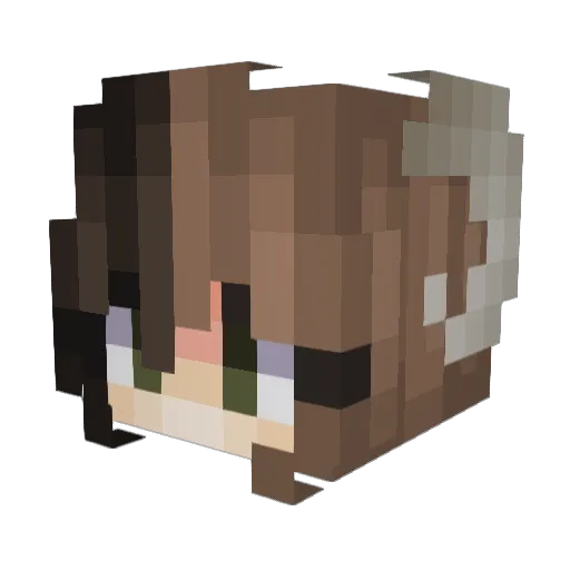 AshSilva Minecraft avatar head, 3D render