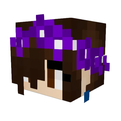 AshStarTheSavage Minecraft avatar head, 3D render