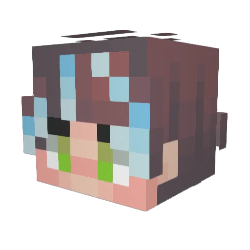 AshTeroid_panic Minecraft avatar head, 3D render