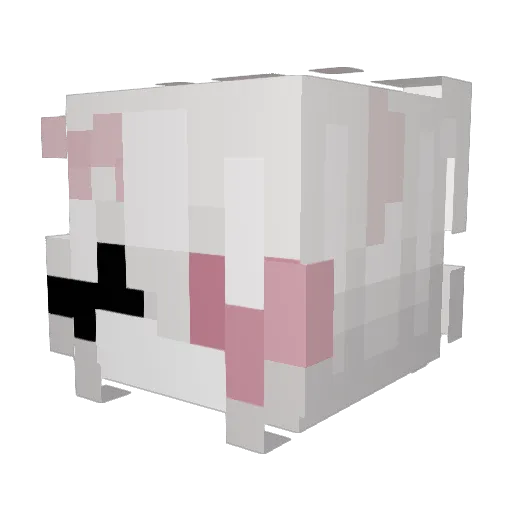 AshTheRat257 Minecraft avatar head, 3D render