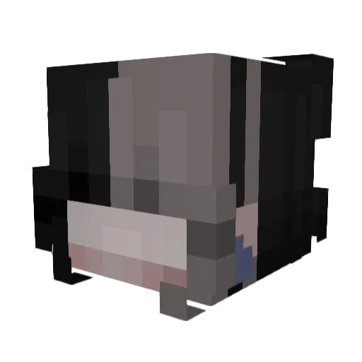 AshWaffle Minecraft avatar head, 3D render